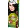 Cream-coloring hair Palette phytolinia, tone 900, black