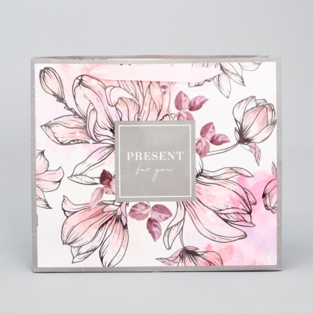 Gift Laminated Horizontal Package, Packaging, Present for You, ML 27 x 23 x 11.5 cm-1