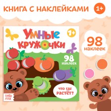 A book with stickers 