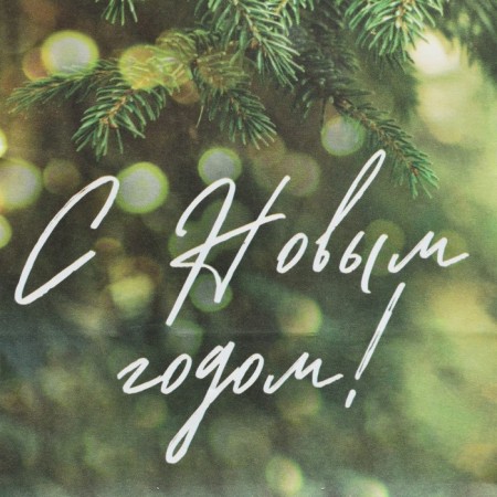 A package without handles “Happy New Year”, spruce spray, 10 x 19.5 x 7 cm, New Year-4