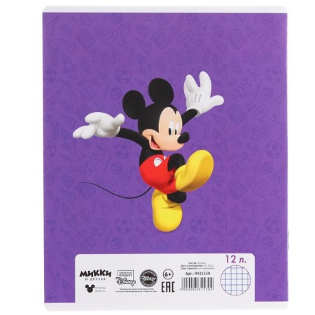 Notebook in a cage 12 sheets, 5 types of mix, cover coated paper, Mickey Mouse-10