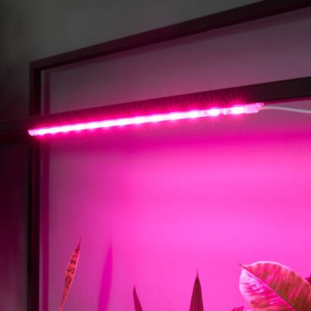 Lamp for plants LED linear, 540 mm Uniel, 10 W, LED, IP65, Color transparent-8