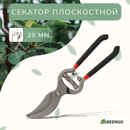 Planning coater, 10 "(25 cm), with metallic rubberized handles, Greengo