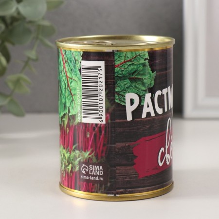 Growing gift grass "Raising beets at home"-1