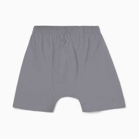 Cowards men's boxers Collorista dark gray, river 52-54