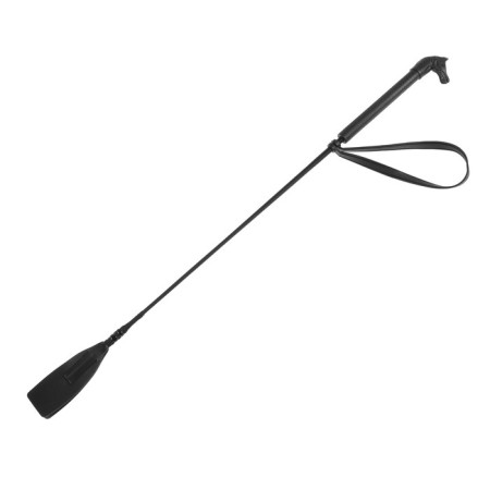 A whip for a horse