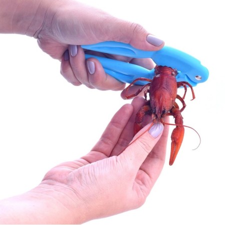 Forceps for seafood-4