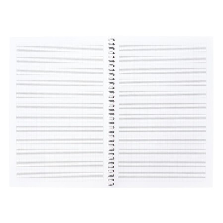 Note for notes A5, 24 sheets on spirals, erichkrause, pop-dogs, a4, vertical orientation, plastic cover-9
