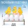 The stand for 4 eggs “Chickens”, 19.6 x 16.3 x 6.1 cm.