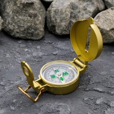 Liquid compass 