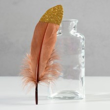 A set of goose feathers 15-20 cm, 10 pcs, brown with golden crumb