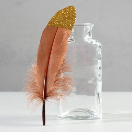 A set of goose feathers 15-20 cm, 10 pcs, brown with golden crumb