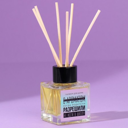 The diffuser aromatic “aroma of frosty morning”, orange, 50 ml.-1