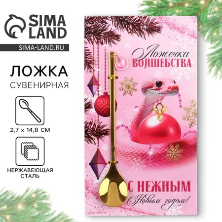 New Year's spoon with a plastic suspension "New Year: with a delicate New Year", 14.8 x 2.7 cm