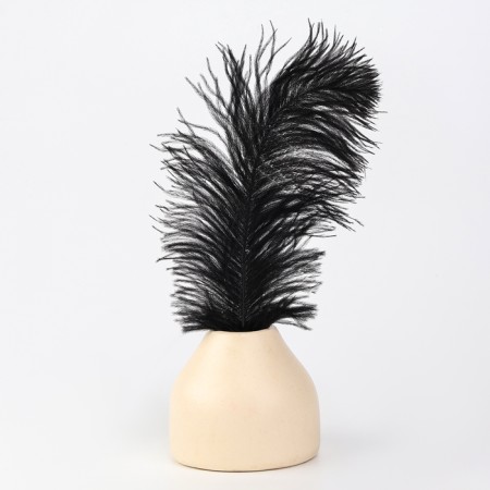 Feather for decor, size: 30-35 cm, black color-2