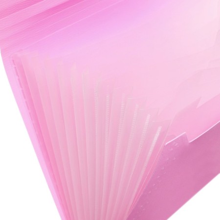 Folder Carder Calligrata watercolor 13 department. A4 plastic 0.7mm flamingos, black resident-4