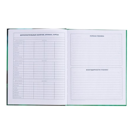 Diary for grades 1-4, solid cover "Drafting", glossy lamination, block 60g/m²-7
