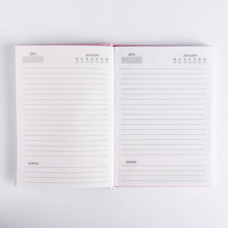 Set of Pandastic Winter, Palantine (180x68 cm) and Diary, A5, 80 sheets-2