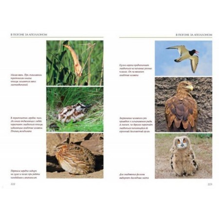 Ecology is interesting. Babenko V.-6