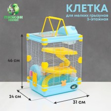 The cage for rodents 