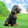Garden figure "Rotweiler Puppy" 28cm