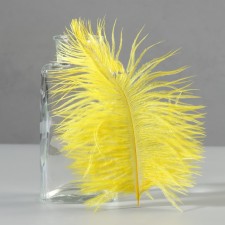 Feather of ostrich 15-20 cm, yellow