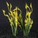 Set of artificial plants for aquarium (2 pcs), 24 cm
