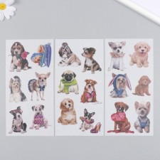 Stickers for creativity Paper 