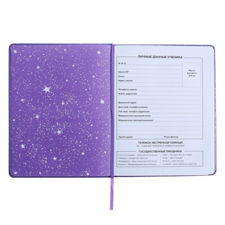 Universal Diary Grade 1-11, 48 sheets "Girl on the Moon", solid cover of artificial leather, applique, liesa, OFSET block-7