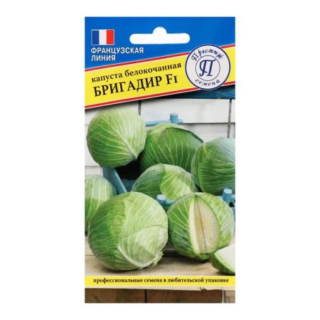 Cabbage seeds of white -white "foreman", F1, 10 pcs.