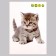 Stick 3D interior cat 29*21cm