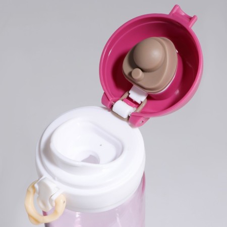 Water bottle "Inspecting", 500 ml-4