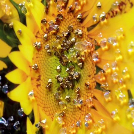 Acrylic painting "Sunflower in a vase" 60x39.5 cm-2