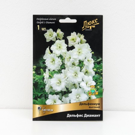 Delphinium "High Delphis Diamant", 1 pc, rr I, spring 2025