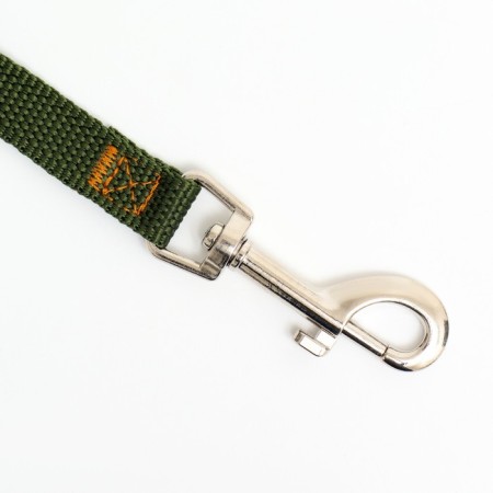 Leash 2 m x 1.5 cm, green-1