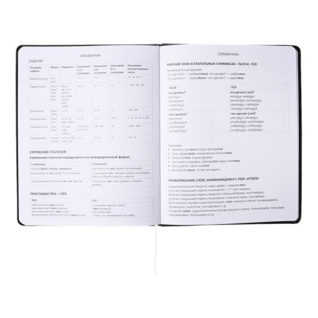 Universal diary for grade 1-11, solid cover, artificial leather, foil embossing, liesse, 80 g/m2-11