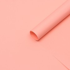 Paper Packer Craft 