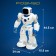 Karl robot, on the radio control, interactive, light, sound effects, works from the battery