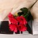 Bouquet "Herbera premium" 7x32 cm, mix