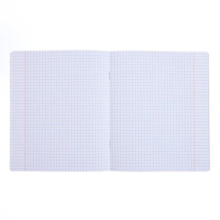 Notebook of 48 sheets in the Erichkrause “Tropical Birds”, matte lamination, an offset block 100%, mix-1