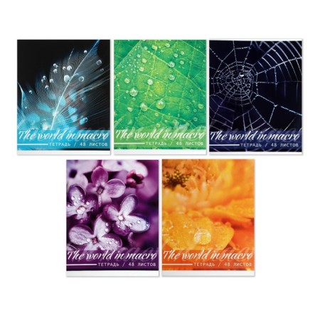 A set of notebooks of 5 pieces, 48 ​​sheets in the Calligrata Micromium cage, covered cardboard, offset block-2