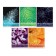 A set of notebooks of 5 pieces, 48 ​​sheets in the Calligrata Micromium cage, covered cardboard, offset block