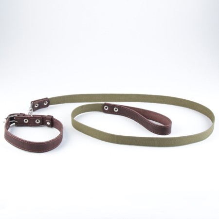 Set: collar (45-60x2.5 cm) leather and leash (150x2.5 cm) canvas, brown color-4