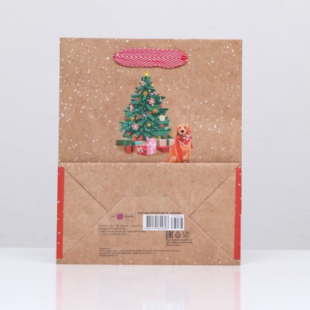 Gift package "Waiting for the New Year" 18 x 22.3 x 10 cm-3