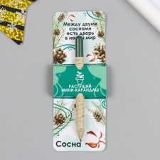 Growing gift pencils Mini 