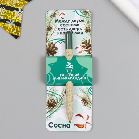 Growing gift pencils Mini "Pine"