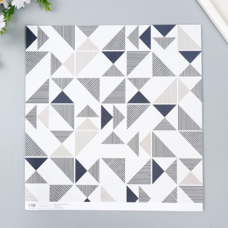 Scraping "Scandy" density 180 g 30.5x32 cm-3