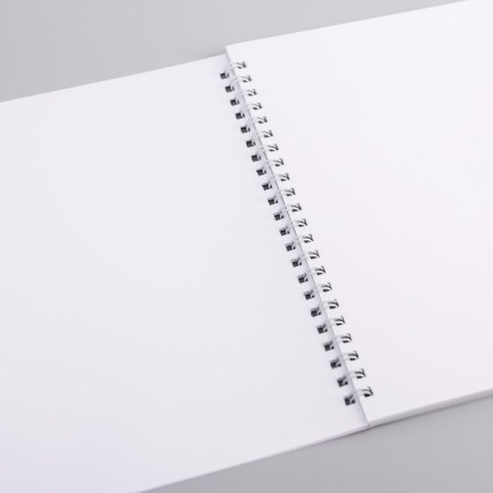 Album for drawing A4, 40 sheets 100 g/m², on the spring, cats aristocrats-1
