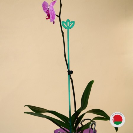 Support for orchids, h = 44 cm, plastic, turquoise, mix-12