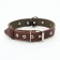 Combined dimensionless collar, leather/tarpaulin, 60x3 cm, Osh 30-57 cm, brown/green